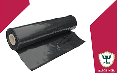 MULCH INDIA-M 2 MULCH INDIA-M 2