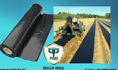 Mulch India-G II Mulch India-G II